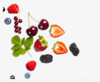 Berry, HD Png Download, Free Download