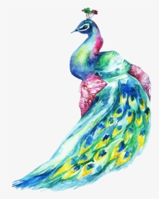11th Annual Peacock Ball - Peacock Watercolor, HD Png Download, Free Download