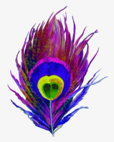 Purple, Peacock, Bird, Feather, Colorful, Eye, Designs - Peacock Feather Png Logo, Transparent Png, Free Download
