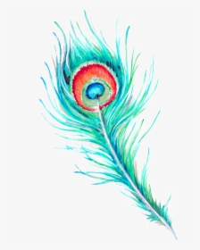 Peacock Feather Hd Beautiful Png - Peacock Feather Hd Download, Transparent Png, Free Download
