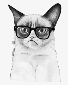 Transparent Grumpy Cat Png - Grumpy Cat Wallpapers Iphone, Png Download, Free Download