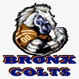 Indianapolis Colts Logo Poster - Bronx Colts, HD Png Download, Free Download