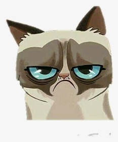 Transparent Angry Cat Png - Grumpy Cat Cartoon Png, Png Download, Free Download