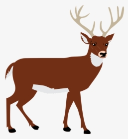 Hart, Antlers, Forest, Animal, Vector - Deer Png Clipart, Transparent Png, Free Download