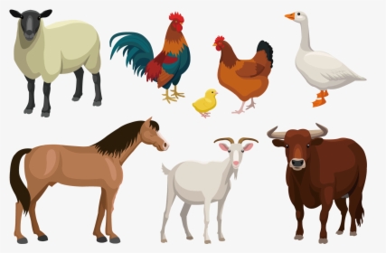 Cattle Goat Sheep Livestock - Farm Animals Vector Png, Transparent Png, Free Download