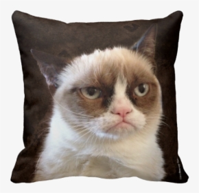 Grumpy Cat Pillow - Grumpy Cat, HD Png Download, Free Download