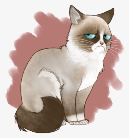 Angry Cat Png Image Background - Cute Grumpy Cat Drawing, Transparent Png, Free Download
