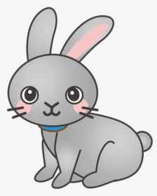 Rabbit, Bunny, Animal, Cute - Rabbit Cartoon Png, Transparent Png, Free Download