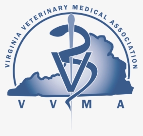 Vvma Logo Transparent Background - Association Member Benefits Flier, HD Png Download, Free Download