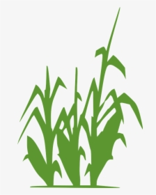 Planta Maiz Png - Corn Silhouette, Transparent Png, Free Download