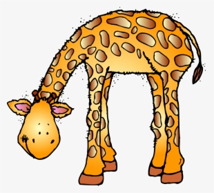 Zoo Vector Animal Clipart - Clip Art Zoo Animals, HD Png Download, Free Download
