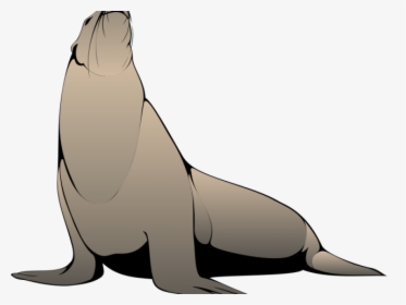 Seal Clipart Realistic - Steller Sea Lion Clip Art, HD Png Download, Free Download