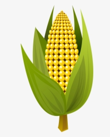 Corn Vector Clipart Image - Corn Clipart, HD Png Download, Free Download