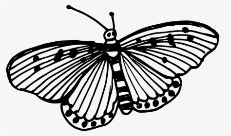 Transparent Butterflies Png Transparent - Drawn Butterfly Png, Png Download, Free Download