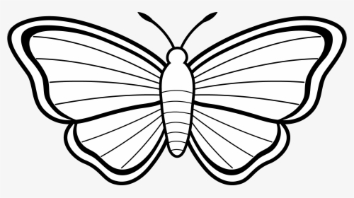 Butterfly Wings Black White Clipart - Colouring Picture Of Butterfly, HD Png Download, Free Download