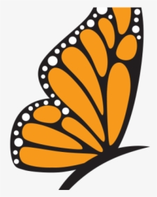 Monarch Butterfly Clipart Egg - Monarch Butterfly, HD Png Download, Free Download