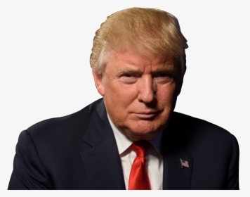 Donald Trump Png Image - Trump Will Lose 2020, Transparent Png, Free Download
