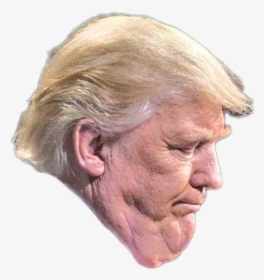 Donald Trump Trump Tower United States - Donald Trump Neck Tuck, HD Png Download, Free Download