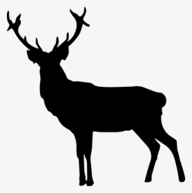 Deer Silhouette, Deer, Stag, Animal, Nature, Reindeer - Silhouette Of An Elk, HD Png Download, Free Download