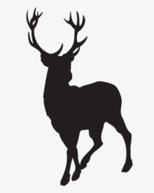 Silhouette Of A Stag, HD Png Download, Free Download