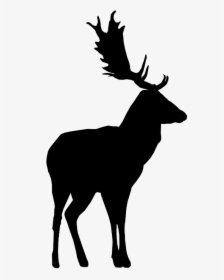 Deer Silhouette - Transparent Background Moose Png, Png Download, Free Download
