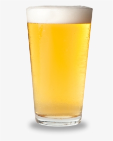 Beer In Glass, HD Png Download, Free Download