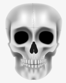 Transparent Realistic Skull Clipart - Skeleton Face Png, Png Download, Free Download