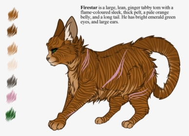 Cat Clipart Tabby - Warrior Cats Firestars Eyes, HD Png Download, Free Download