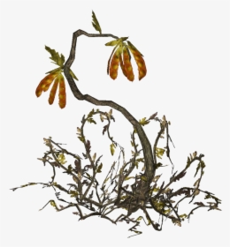 Twig, HD Png Download, Free Download