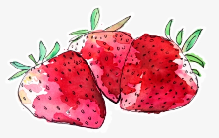 Fruit Watercolour Png, Transparent Png, Free Download