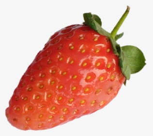 Strawberry With Shadow Png, Transparent Png, Free Download