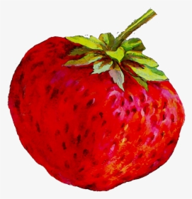 Strawberry Painting Image Photography Ackee - Strawberry, HD Png Download, Free Download