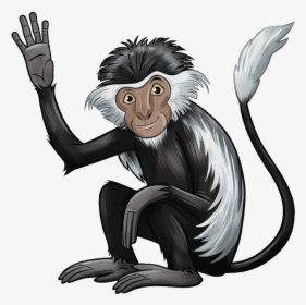 Transparent Spider Monkey Png - Colobus Monkey Png, Png Download, Free Download