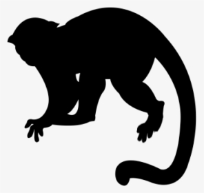 Monkey Silhouette Png, Transparent Png, Free Download