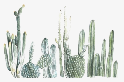 Cactus Watercolour, HD Png Download, Free Download