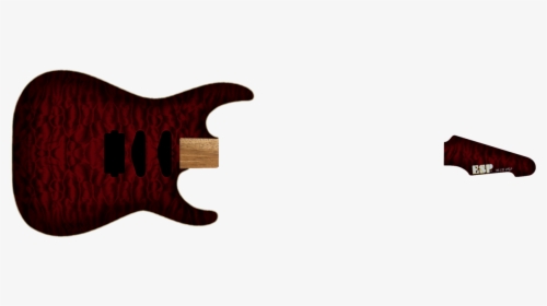 Xlarge - Bass Guitar, HD Png Download, Free Download