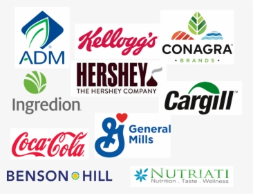 Current Members As Of 10 22 - Coca Cola, HD Png Download, Free Download