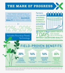 58557 Harvxtra Infographic V17 - Harvxtra Alfalfa, HD Png Download, Free Download