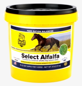 Transparent Alfalfa Png - Horse, Png Download, Free Download