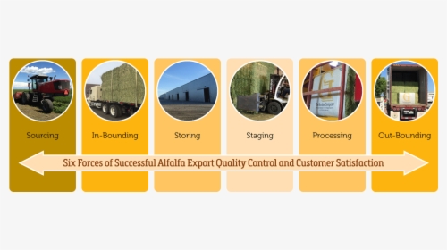 Alfalfa Export Quality Control Six Forces - Circle, HD Png Download, Free Download