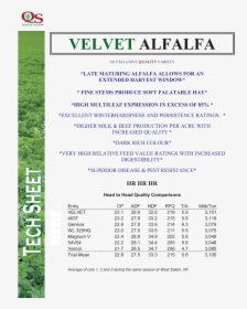 Velvet-alfalfa - Alfalfa, HD Png Download, Free Download