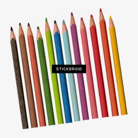Transparent Pencils Color Pencil Background Transparent - Pencil Color Png, Png Download, Free Download