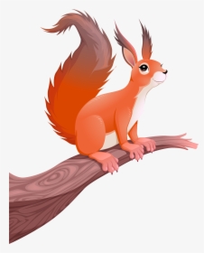 Squirrel Cartoon Photography Illustration - Transparent Squirrel Cartoon, HD Png Download, Free Download