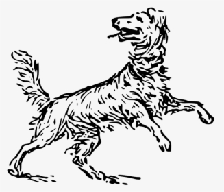Monochrome Breed - Dog, HD Png Download, Free Download