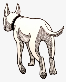 Dog Drawing Png -back View By - Drawing Dog From The Back, Transparent Png, Free Download