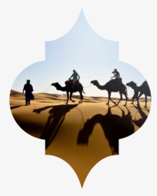 Category Window-18 - Desert Safari Dubai Camels, HD Png Download, Free Download