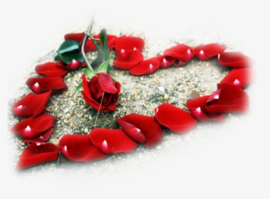 Transparent Rose Heart Png - Rose Beautiful Love Flowers, Png Download, Free Download