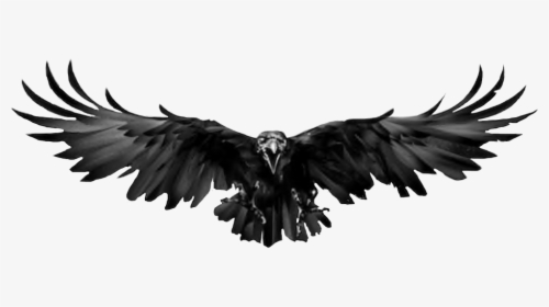 Raven, HD Png Download, Free Download