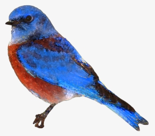 Clip Art Real Birds Clipart - Blue Bird Transparent Background, HD Png Download, Free Download