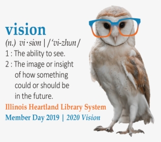 Vision Vi-zhun - Barn Owl, HD Png Download, Free Download